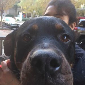 Meet your Posher, Amber